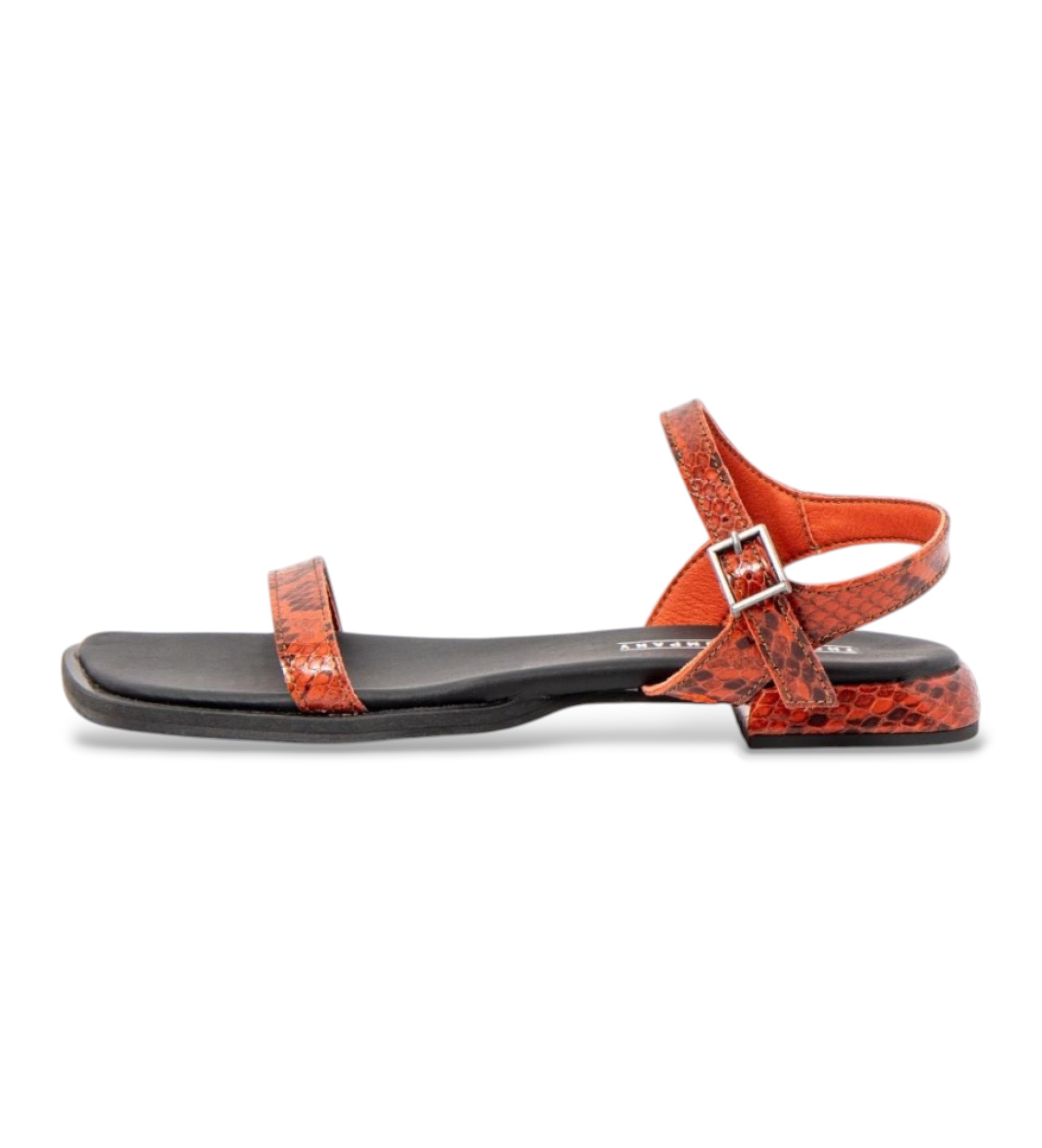 Art für Damen. 12000S188003_006 Ledersandalen 2000S Bergamo orange (36), Wohnung, 1 bis 3 cm, Schnalle, Lässig