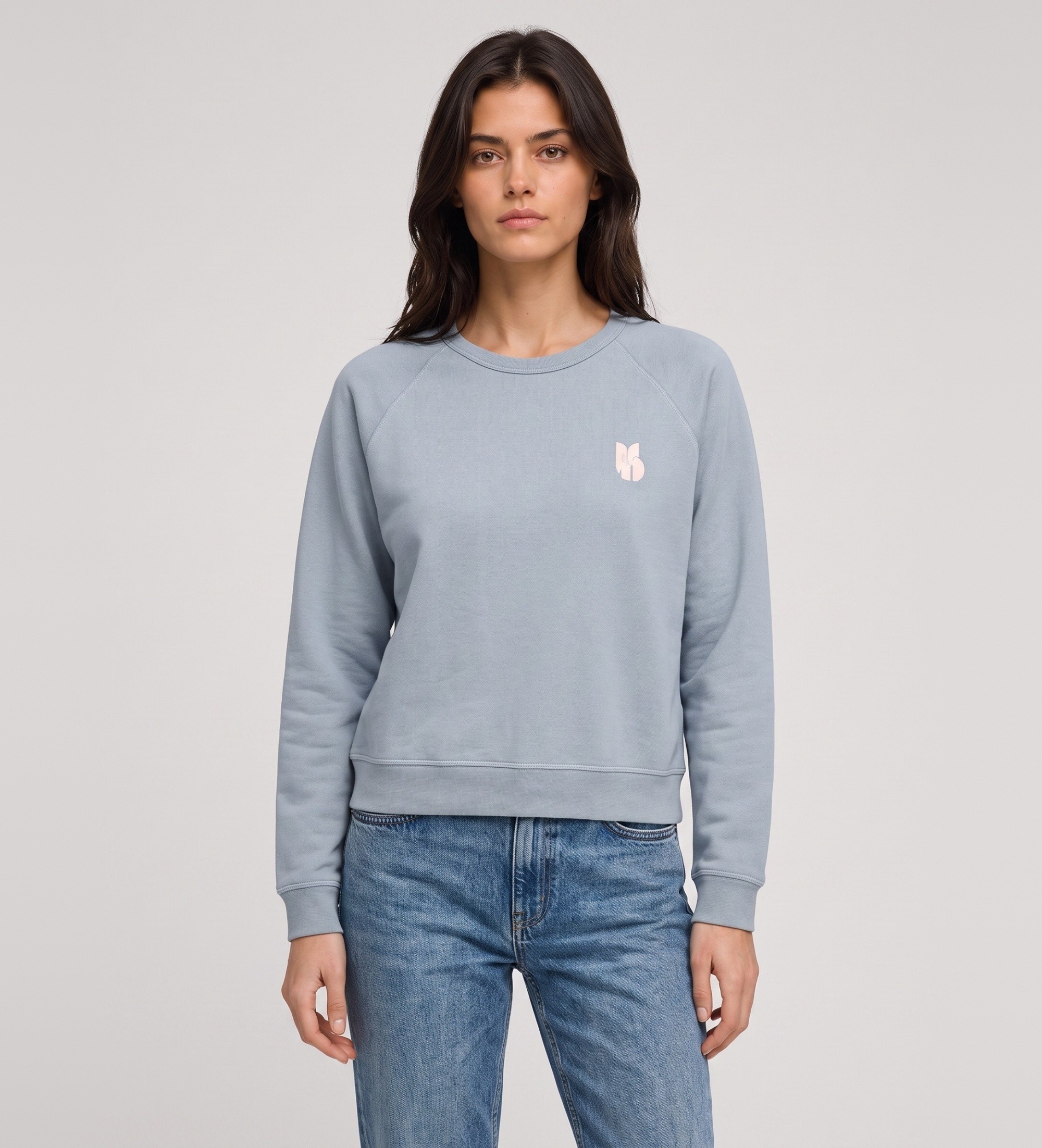 BA&SH für Damen. 1H26SWIN Hellblaues Swing-Sweatshirt (36), Lässig, Baumwolle