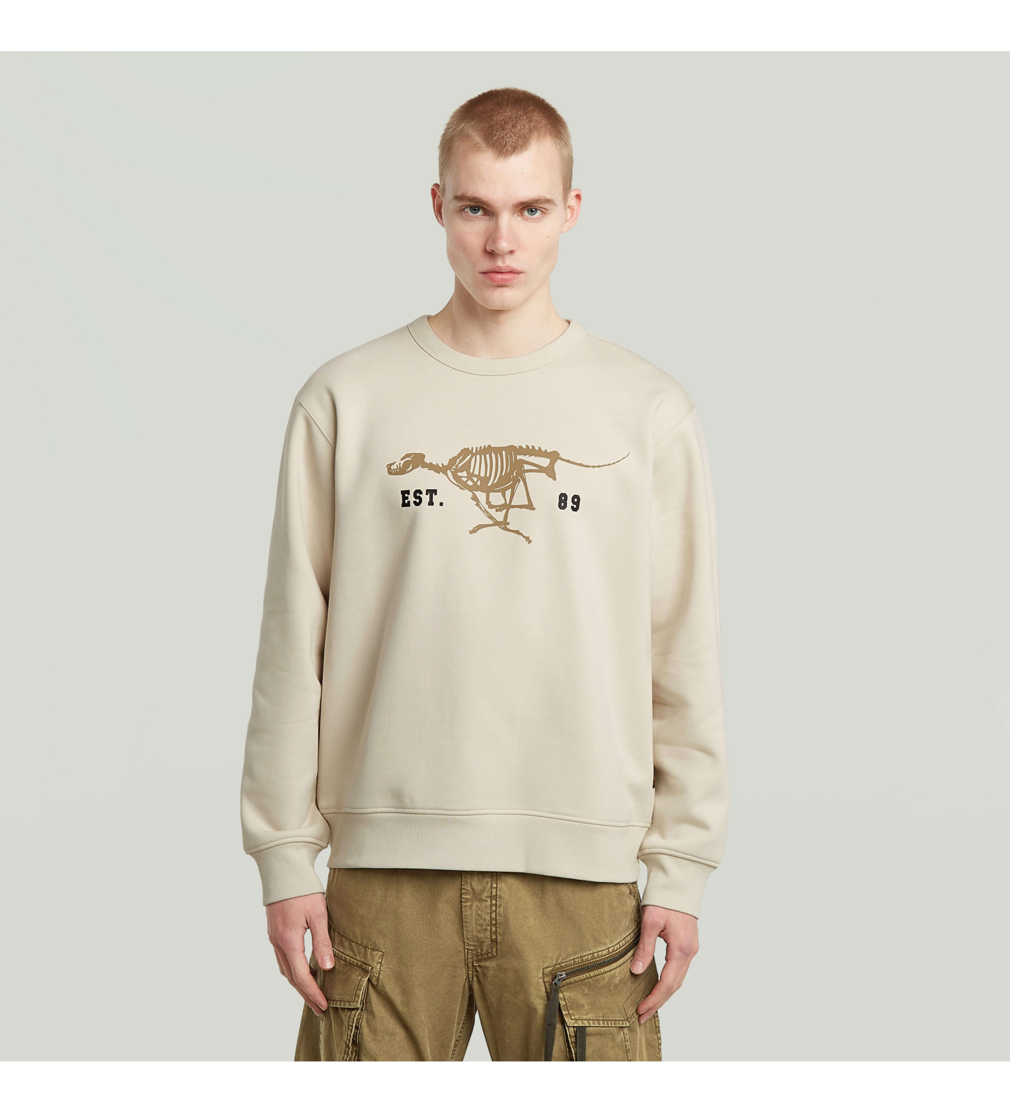 G-Star für Herren. D27095-D733-1603 Laufhund Rücken beige Pullover (S), Lässig, Baumwolle