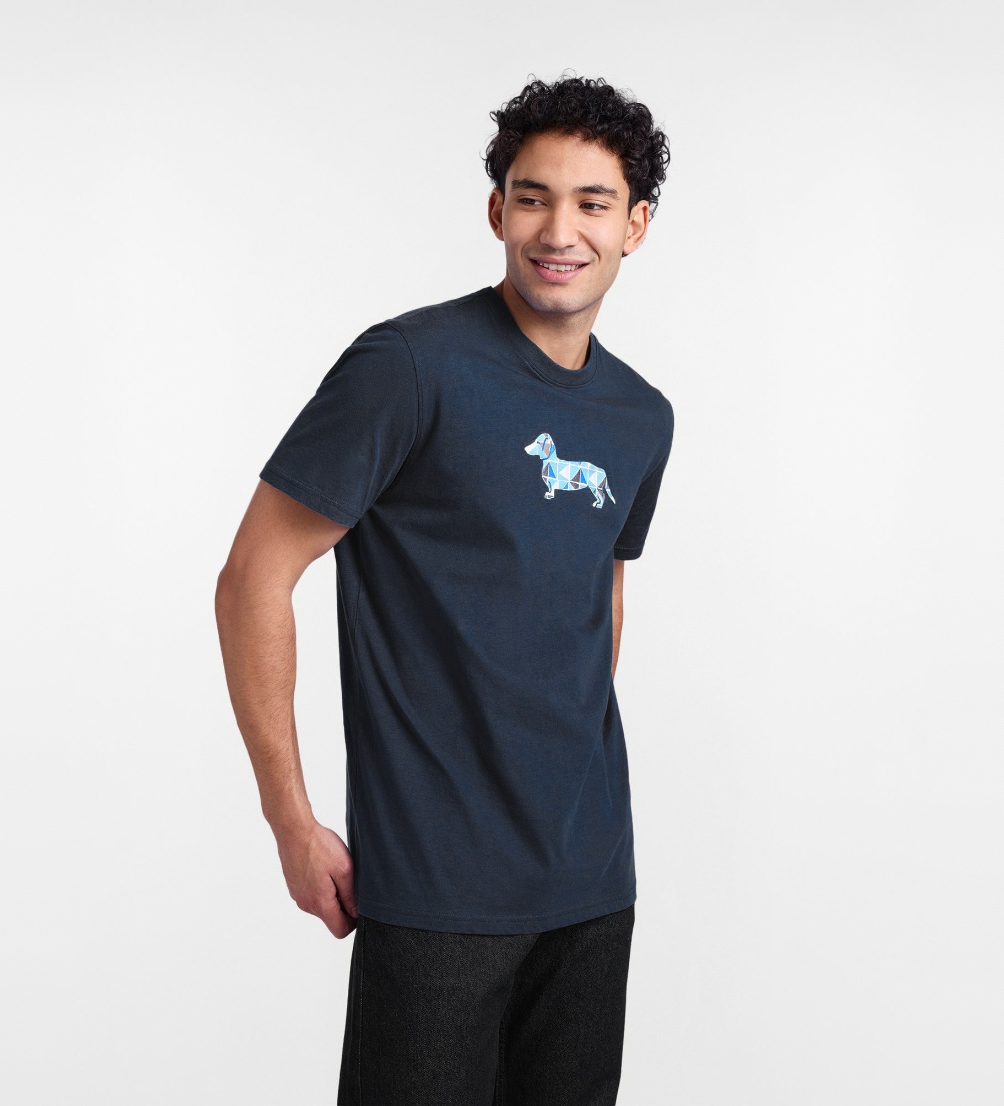 Harmont & Blaine für Herren. IRQ403021055S T-Shirt mit blauem 3D-Dackeldruck (S), Lässig, Baumwolle, Kurzarm