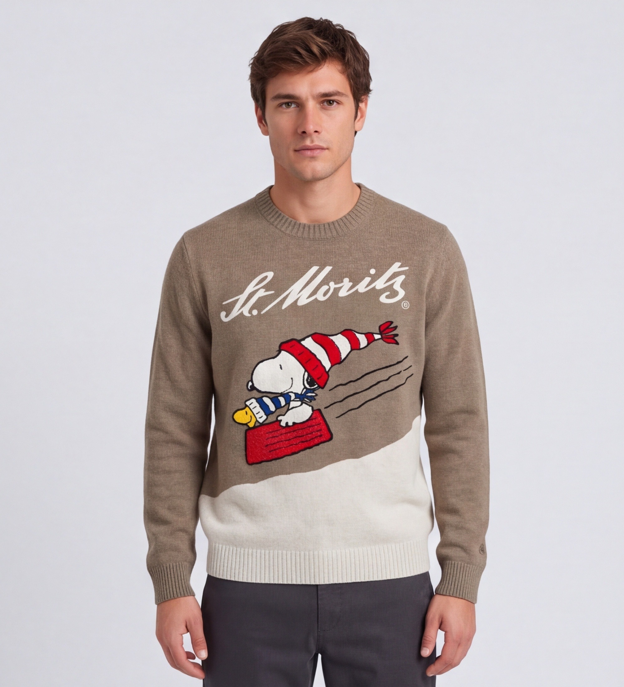 MC2 Saint Barthvoor mannen. HER0011 Bruine Heron C-trui (L), Casual, Wol