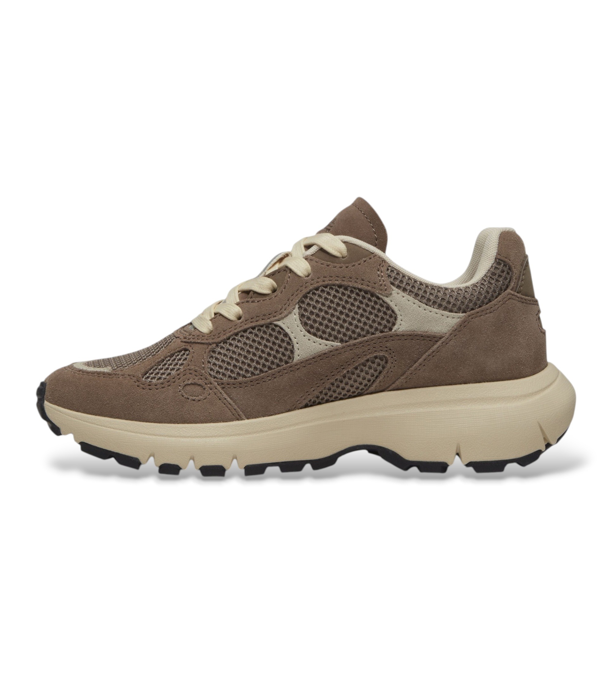 Timberland pour femme. TB0A43R8EVL1 Baskets en cuir Hazel Lane taupe (37 W), Plat, Lacets, Casuel