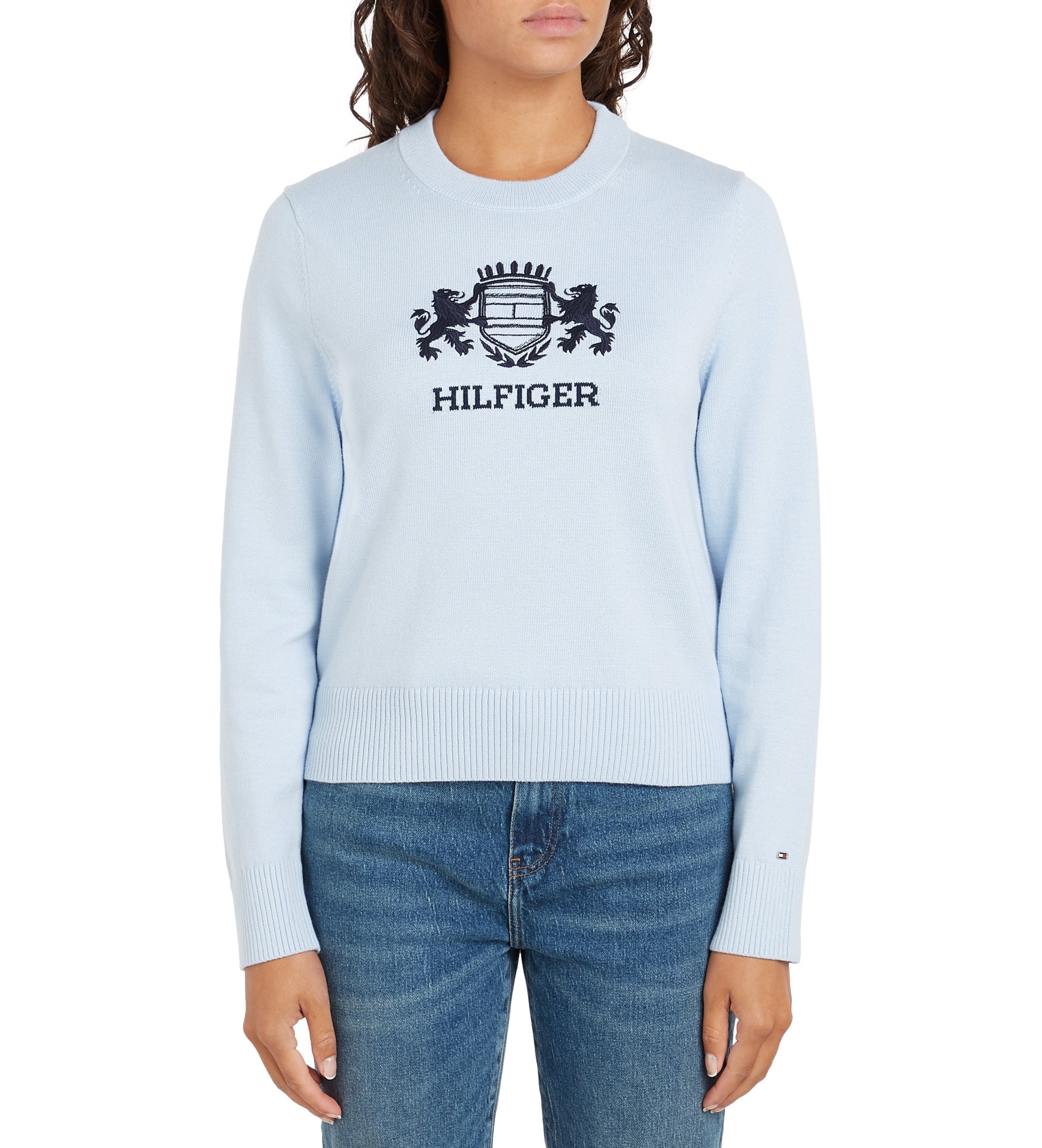 Tommy Hilfiger für Damen. WW0WW43960 Blauer Pullover mit Rundhalsausschnitt (L), Lässig, Bio-Baumwolle, Nachhaltig