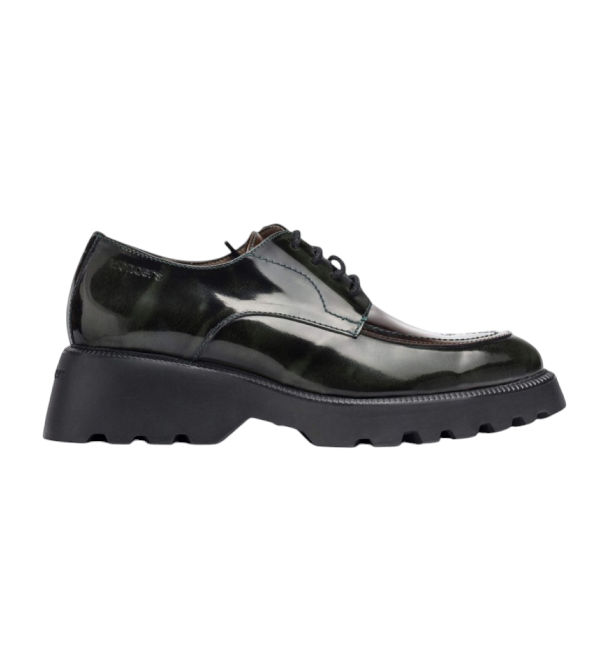 Wonders für Damen. C-7201_5216_11350 Portobello Grün Leder Blücher Schuhe (36), 3 bis 5 cm, Schnürsenkel, Lässig