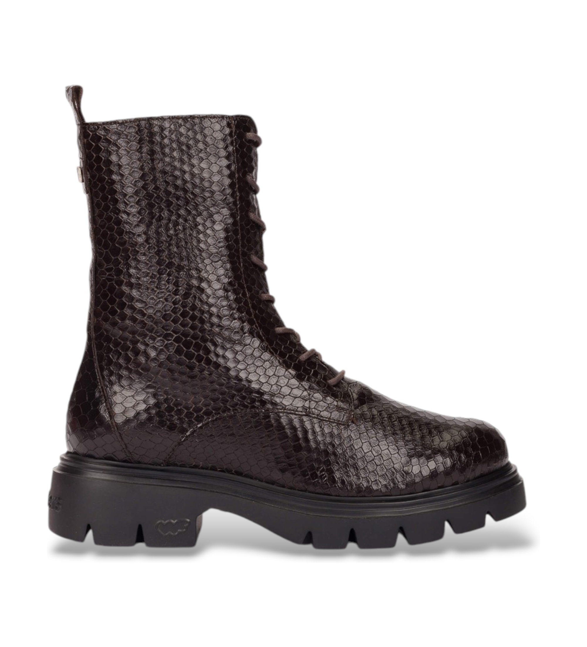 Wonders für Damen. A-4313_5714_9332 Bones Lederstiefeletten 13 Braun (40), Wohnung, 1 bis 3 cm, Schnürsenkel, Lässig