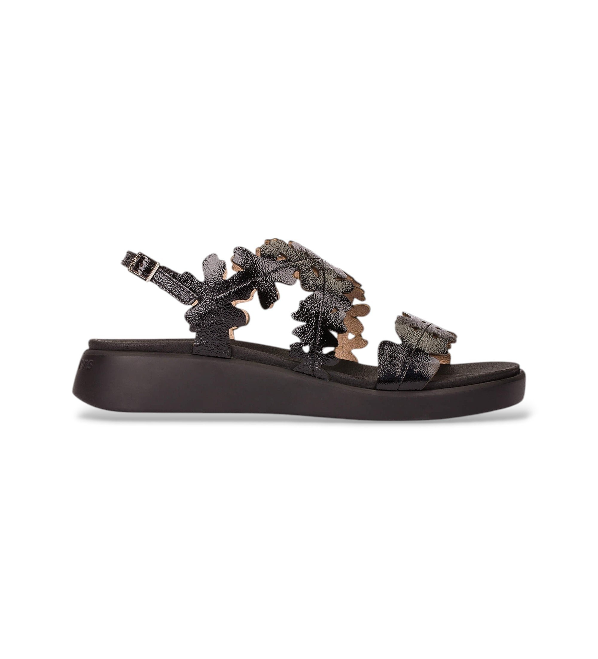 Wonders für Damen. C-6551 Loaf Leder Sandalen schwarz (41), 3 bis 5 cm, Schnalle, Lässig