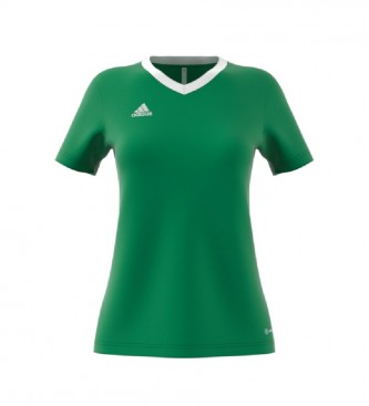 Adidas para mulher. Entrada 22 camiseta verde adidas