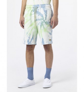 Dickies para hombre. DK0A4XNHC341 Shorts Seatac multicolor (S), Casual, Deportivo, Algodón, Multideporte