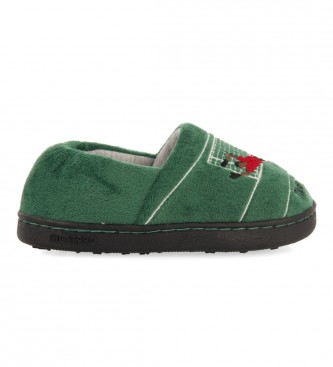 Hot Potatoes. Formadores de jardinagem doméstica verde Hot Potatoes