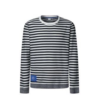 Pepe Jeansvoor mannen. PM7000029 Marine trui Pascal (S), Casual, Viscose, Marineblauw
