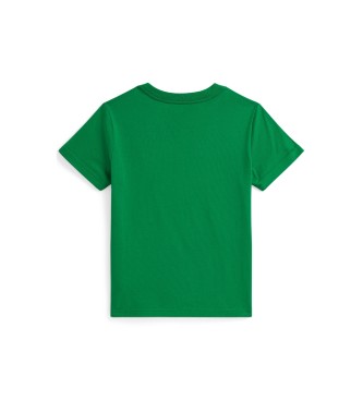 Polo Ralph Lauren Camiseta de punto jersey de algodón (1 5años= 88/93)
