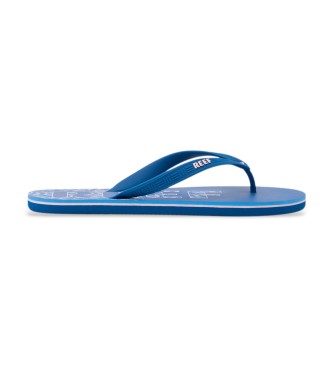 Reef para hombre. CJ9078 Chanclas Seaside Prints azul (43), Plano, Ninguno, Beachwear