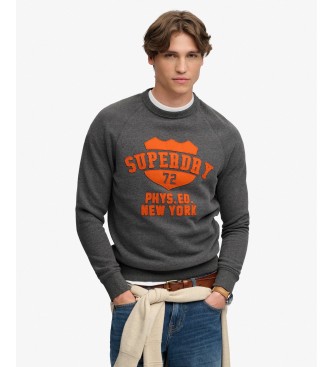 Superdry Sudadera Felt Applique Relaxed gris