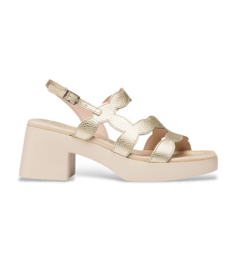 Sandalias de Piel Hura dorado (41), 5 a 8cm, Hebilla, Casual