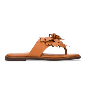 Wonders para mujer. AB-1587K_5338_2725 Sandalias de Piel Musa 87K marrón (37), Plano, Ninguno, Casual