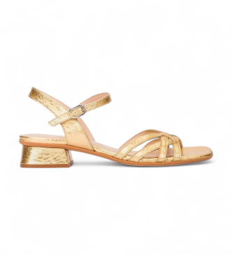 Wonders para mujer. B-1103_5677_6509 Sandalias de Piel Caliza 03 dorado (39), 1 a 3cm, Hebilla, Casual, Clásico