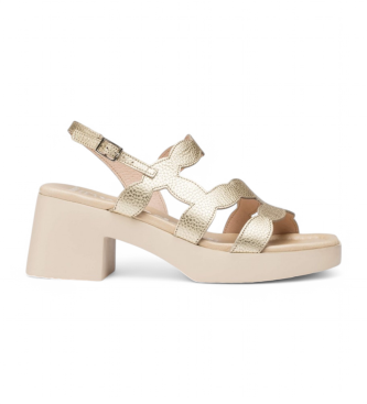 Wonders para mujer. D-1020_5432_7285 Sandalias de piel Hura dorado (37), 3 a 5cm, Hebilla, Casual